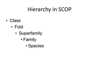 Hierarchy in SCOP
• Class
• Fold
• Superfamily
• Family
• Species
 