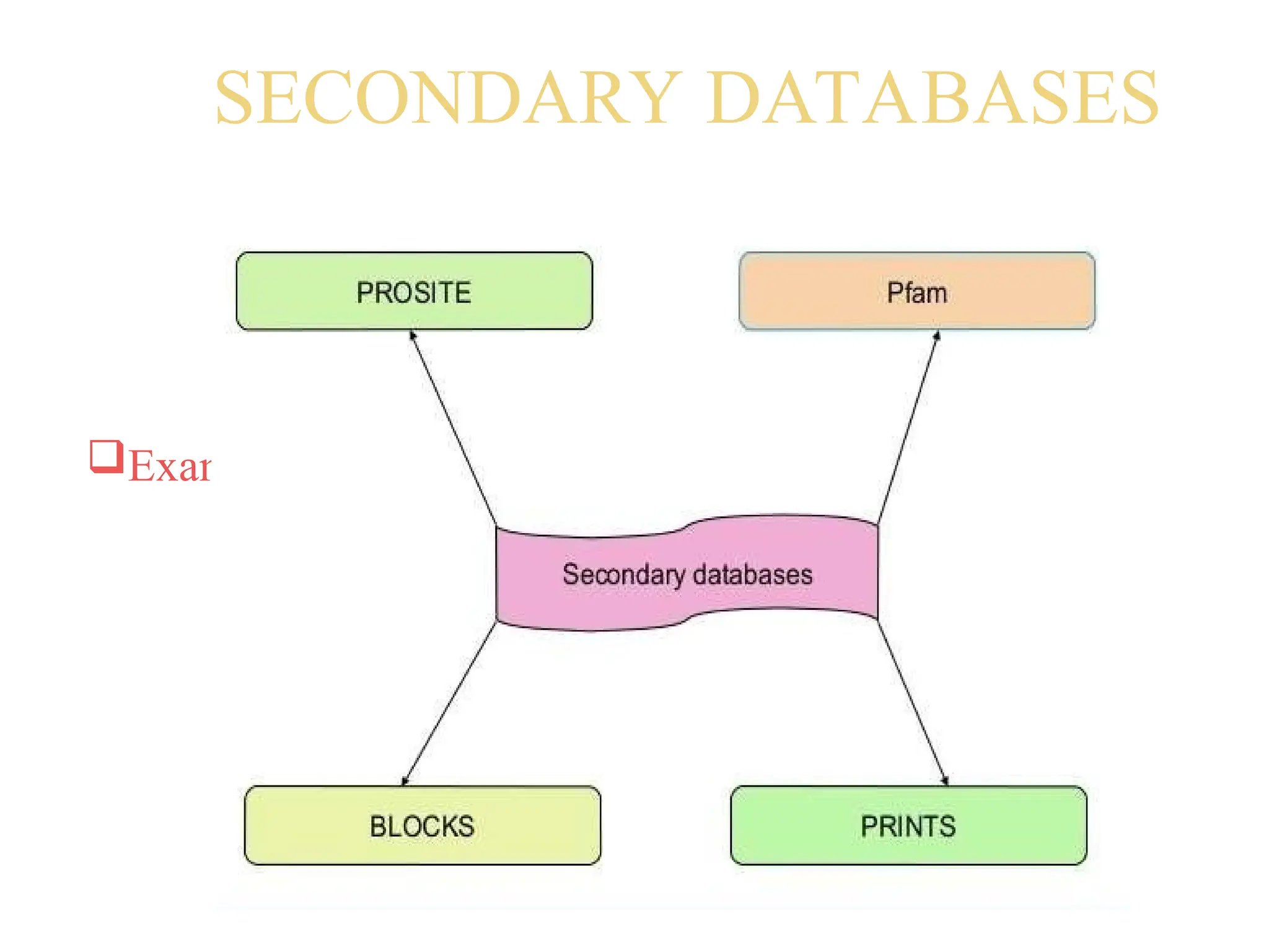 SECONDARY DATABASES
Contains data derived from the results of
analysing primary data
Manually created or automatically generated
Contains more relevant and useful information
structured to specific requirements
Example :- PROSITE, PRINTS, BLOCKS, Pfam
 