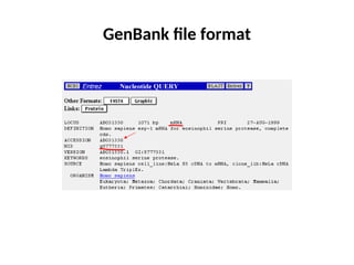GenBank file format
 