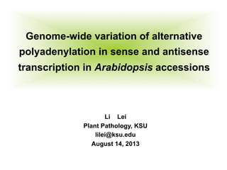Genome-wide variation of alternative
polyadenylation in sense and antisense
transcription in Arabidopsis accessions	
  
Li Lei
Plant Pathology, KSU
lilei@ksu.edu
August 14, 2013
 