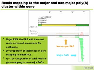 Reads mapping to the major and non-major poly(A)
cluster within gene
Result
•  Major PAS: the PAS with the most
reads across all accessions for
each gene
•  p = proportion of total reads in gene
mapping to major PAS
•  q = 1-p = proportion of total reads in
gene mapping to non-major PASs
 
