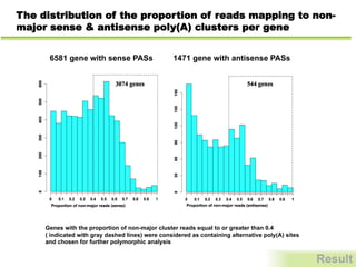 The distribution of the proportion of reads mapping to non-
major sense & antisense poly(A) clusters per gene
Genes with the proportion of non-major cluster reads equal to or greater than 0.4
( indicated with gray dashed lines) were considered as containing alternative poly(A) sites
and chosen for further polymorphic analysis
Result
6581 gene with sense PASs 1471 gene with antisense PASs
 