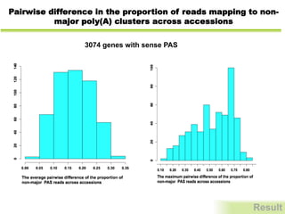 Pairwise difference in the proportion of reads mapping to non-
major poly(A) clusters across accessions
3074 genes with sense PAS
Result
 
