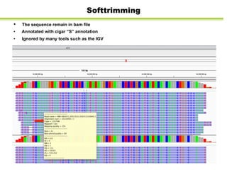 Softtrimming
•  	
  The sequence remain in bam file
•  Annotated with cigar “S” annotation
•  Ignored by many tools such as the IGV
 