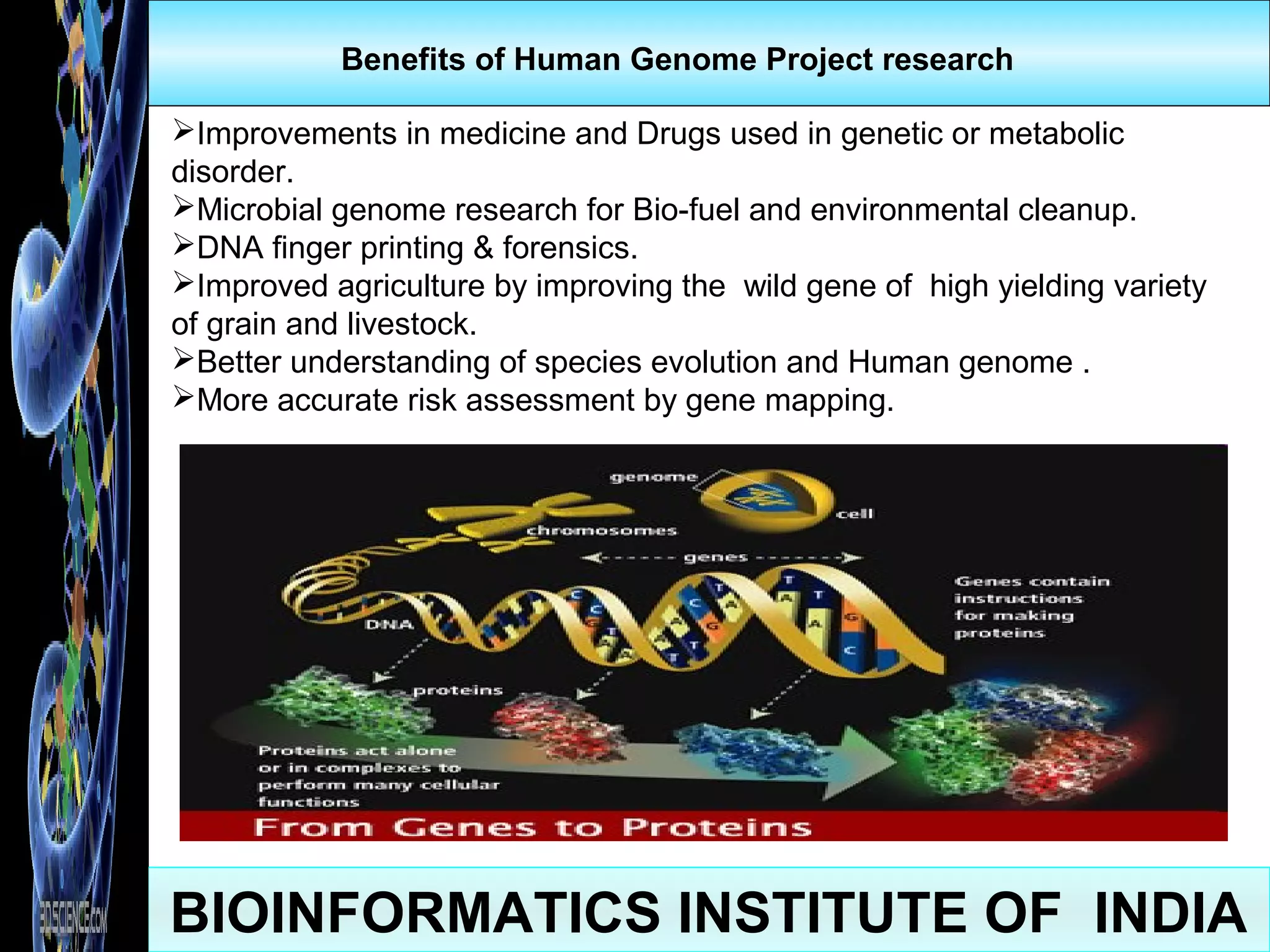Bioinformatics | PPT