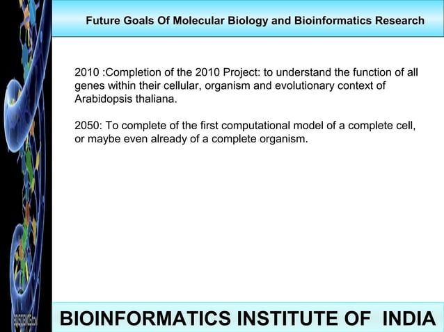 Bioinformatics | PPT | Biological Sciences | Science