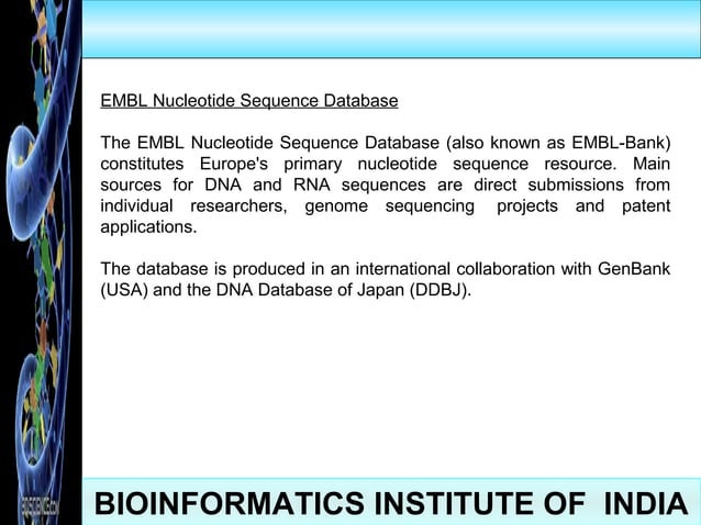 Bioinformatics | PPT | Biological Sciences | Science