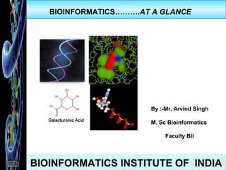 BIOINFORMATICS INSTITUTE OF INDIA
BIOINFORMATICS……….AT A GLANCE
By :-Mr. Arvind Singh
M. Sc Bioinformatics
Faculty BII
 