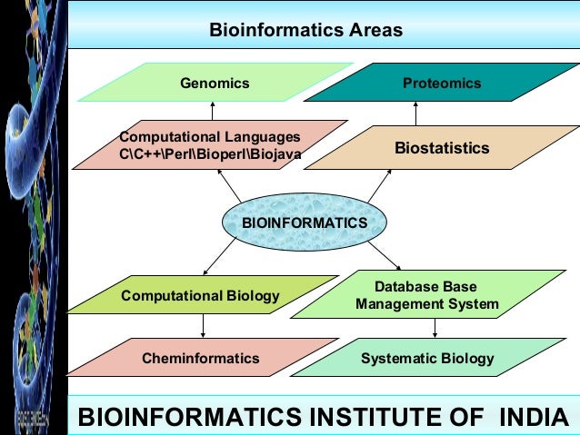 view genetics of autoimmunity