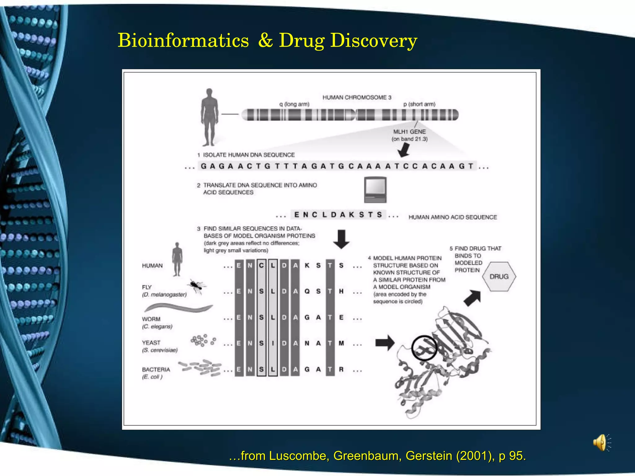 Bioinformatics   & Drug Discovery … from Luscombe, Greenbaum, Gerstein (2001), p 95. 