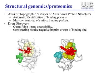 Atlas of Topographic Surfaces of All Known Protein Structures   Automatic identification of binding pockets. Measurement size of surface binding pockets. Drug Discovery Quantifying ligand accessibility.  Constructing precise negative imprint or cast of binding site. Structural genomics/proteomics   