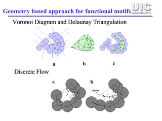 Voronoi Diagram and Delaunay Triangulation Geometry based approach for functional motifs Discrete Flow 