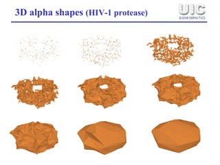 3D alpha shapes  (HIV-1 protease)‏ 