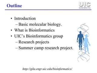 Bioinformatics | PPT