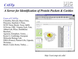A Server for Identification of Protein Pockets & Cavities CASTp http://cast.engr.uic.edu/ Users of CASTp: Columbia, Harvard, Mayo Clinic, Princeton, Stanford, U Penn,  SUNY Stony Brook, Texas A&M, UCIrvine, UBC, Virginia Tech, Yale,  Abbott Lab, Pfizer, SmithKline Beecham, ... Agouron, Emisphere, Vertex, ... Kyoto U, Cambridge, European Molecular Biology Lab,  INRA (France), Pasteur-Lille, Uppsala, Weizman,... Brazil, Czech, Korea, Turkey, ... 