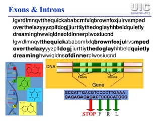 Exons & Introns STOP F  R  L 