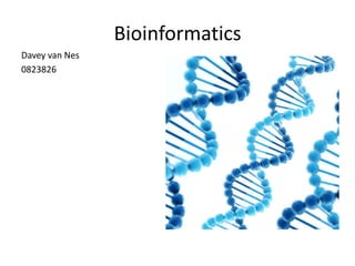 Bioinformatics
Davey van Nes
0823826
 