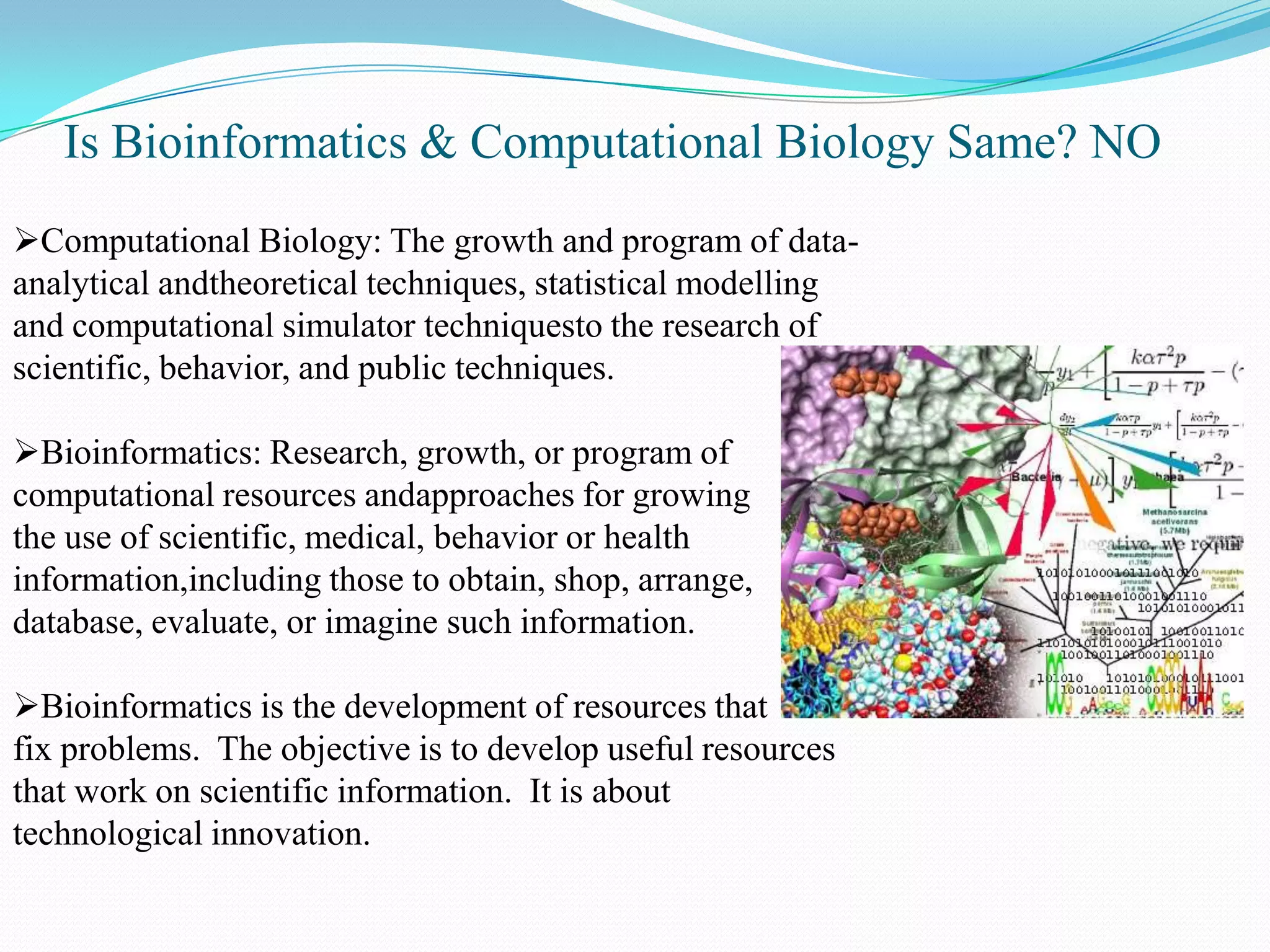 Bioinformatics | PPT