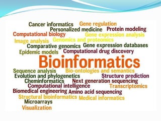 Bioinformatics | PPT
