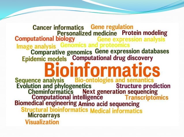 Bioinformatics | PPT