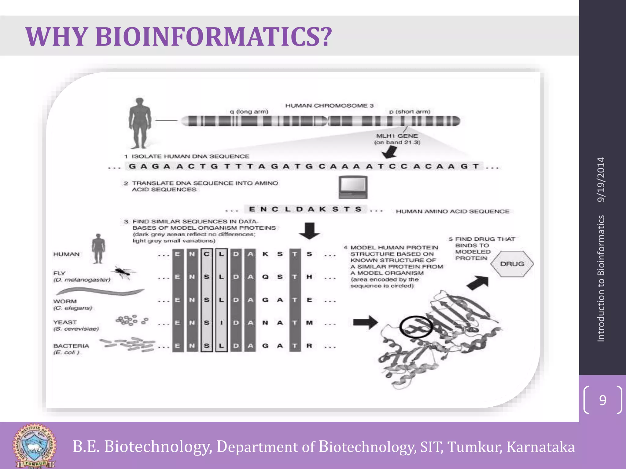Introduction to Bioinformatics 9/19/2014 
9 
WHY BIOINFORMATICS? 
B.E. Biotechnology, Department of Biotechnology, SIT, Tumkur, Karnataka 
 