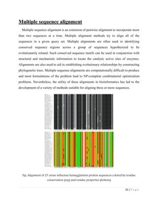 35 | P a g e
Multiple sequence alignment
Multiple sequence alignment is an extension of pairwise alignment to incorporate more
than two sequences at a time. Multiple alignment methods try to align all of the
sequences in a given query set. Multiple alignments are often used in identifying
conserved sequence regions across a group of sequences hypothesized to be
evolutionarily related. Such conserved sequence motifs can be used in conjunction with
structural and mechanistic information to locate the catalytic active sites of enzymes.
Alignments are also used to aid in establishing evolutionary relationships by constructing
phylogenetic trees. Multiple sequence alignments are computationally difficult to produce
and most formulations of the problem lead to NP-complete combinatorial optimization
problems. Nevertheless, the utility of these alignments in bioinformatics has led to the
development of a variety of methods suitable for aligning three or more sequences.
Fig: Alignment of 27 avian influenza hemagglutinin protein sequences colored by residue
conservation (top) and residue properties (bottom)
 