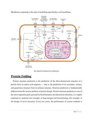 52 | P a g e
Membrane computing is the task of modelling specifically a cell membrane.
Fig: Signal transduction pathways
Protein Folding
Protein structure prediction is the prediction of the three-dimensional structure of a
protein from its amino acid sequence — that is, the prediction of its secondary, tertiary,
and quaternary structure from its primary structure. Structure prediction is fundamentally
different from the inverse problem of protein design. Protein structure prediction is one of
the most important goals pursued by bioinformatics and theoretical chemistry; it is highly
important in medicine (for example, in drug design) and biotechnology (for example, in
the design of novel enzymes). Every two years, the performance of current methods is
 