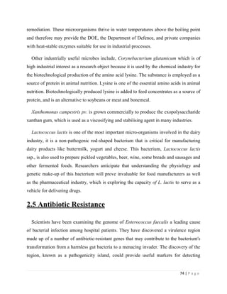 74 | P a g e
remediation. These microorganisms thrive in water temperatures above the boiling point
and therefore may provide the DOE, the Department of Defence, and private companies
with heat-stable enzymes suitable for use in industrial processes.
Other industrially useful microbes include, Corynebacterium glutamicum which is of
high industrial interest as a research object because it is used by the chemical industry for
the biotechnological production of the amino acid lysine. The substance is employed as a
source of protein in animal nutrition. Lysine is one of the essential amino acids in animal
nutrition. Biotechnologically produced lysine is added to feed concentrates as a source of
protein, and is an alternative to soybeans or meat and bonemeal.
Xanthomonas campestris pv. is grown commercially to produce the exopolysaccharide
xanthan gum, which is used as a viscosifying and stabilising agent in many industries.
Lactococcus lactis is one of the most important micro-organisms involved in the dairy
industry, it is a non-pathogenic rod-shaped bacterium that is critical for manufacturing
dairy products like buttermilk, yogurt and cheese. This bacterium, Lactococcus lactis
ssp., is also used to prepare pickled vegetables, beer, wine, some breads and sausages and
other fermented foods. Researchers anticipate that understanding the physiology and
genetic make-up of this bacterium will prove invaluable for food manufacturers as well
as the pharmaceutical industry, which is exploring the capacity of L. lactis to serve as a
vehicle for delivering drugs.
2.5 Antibiotic Resistance
Scientists have been examining the genome of Enterococcus faecalis a leading cause
of bacterial infection among hospital patients. They have discovered a virulence region
made up of a number of antibiotic-resistant genes that may contribute to the bacterium's
transformation from a harmless gut bacteria to a menacing invader. The discovery of the
region, known as a pathogenicity island, could provide useful markers for detecting
 