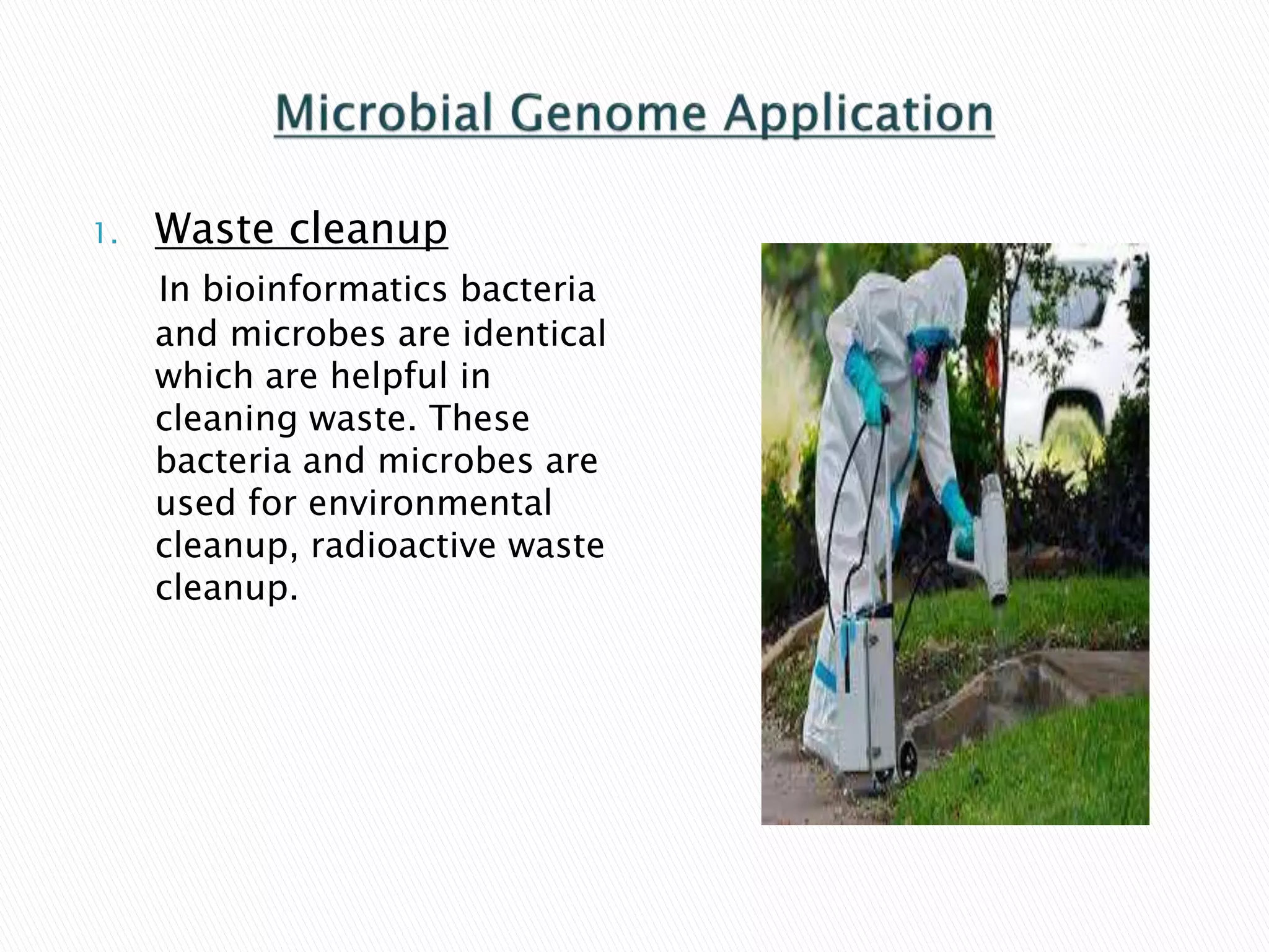 1. Waste cleanup
In bioinformatics bacteria
and microbes are identical
which are helpful in
cleaning waste. These
bacteria and microbes are
used for environmental
cleanup, radioactive waste
cleanup.
 