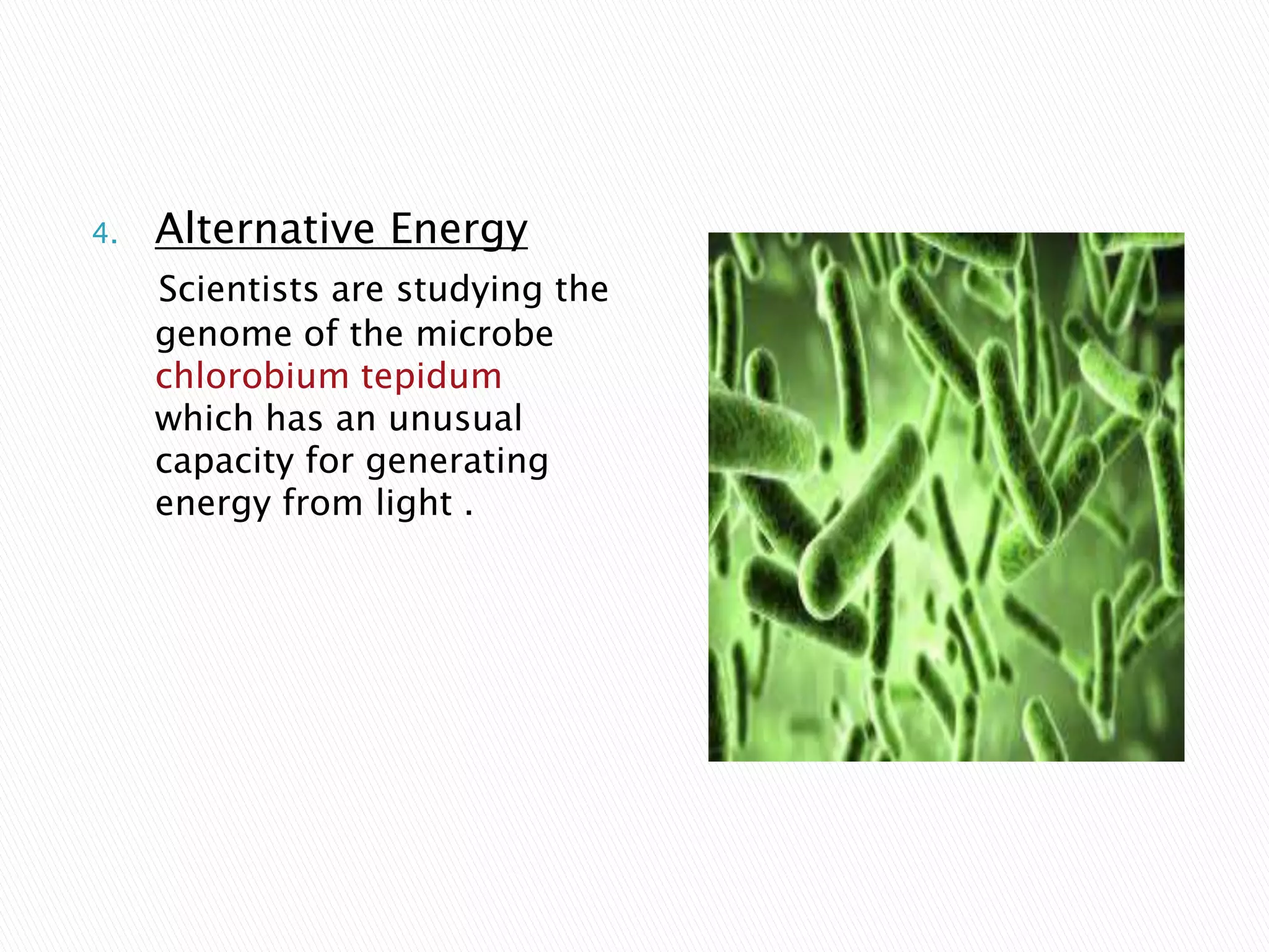 4. Alternative Energy
Scientists are studying the
genome of the microbe
chlorobium tepidum
which has an unusual
capacity for generating
energy from light .
 