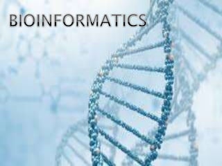 Bioinformatics | PPT