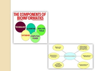 Bioinformatics | PPTX