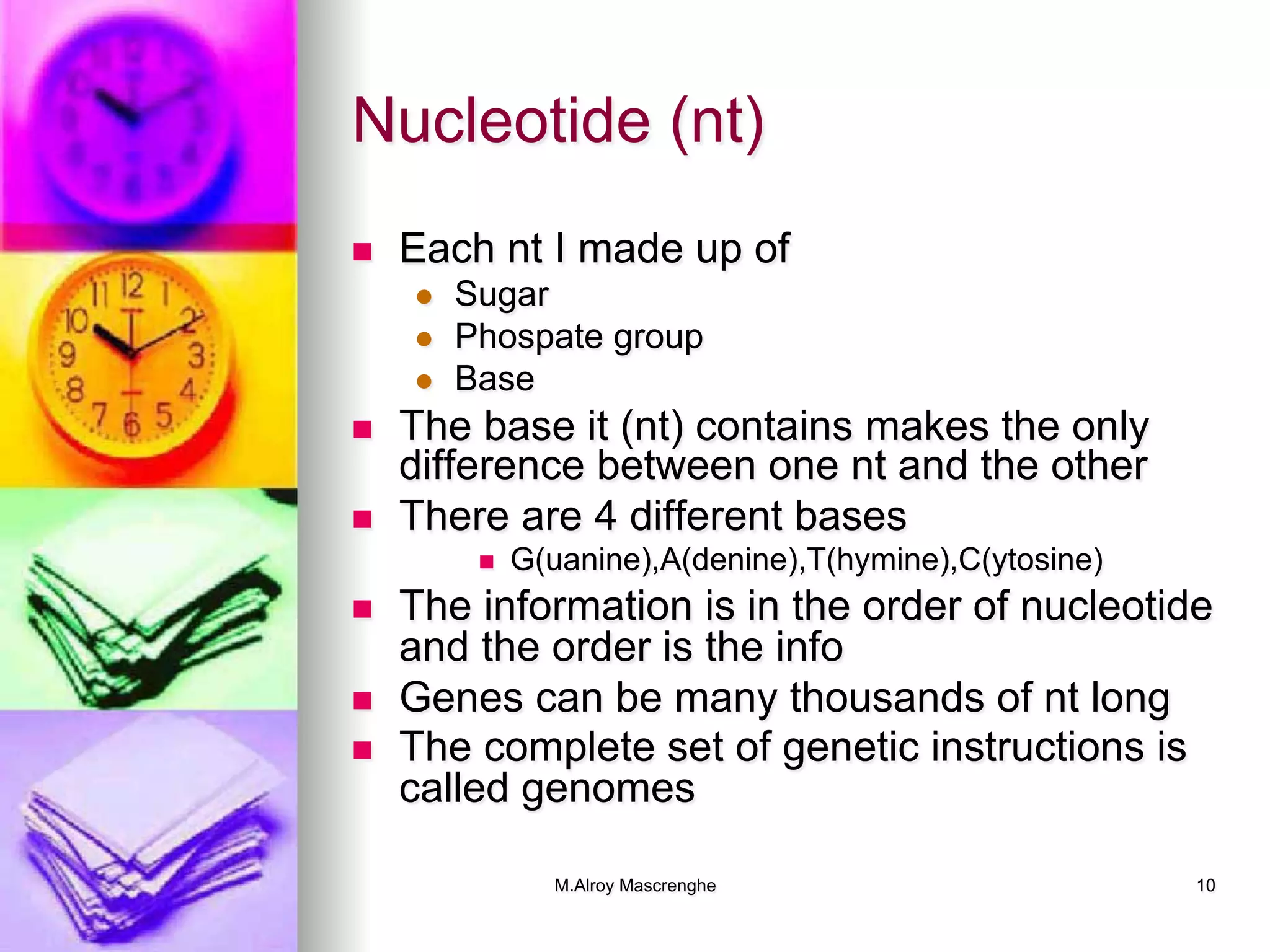 M.Alroy Mascrenghe 10
Nucleotide (nt)
n  Each nt I made up of
l  Sugar
l  Phospate group
l  Base
n  The base it (nt) contains makes the only
difference between one nt and the other
n  There are 4 different bases
n  G(uanine),A(denine),T(hymine),C(ytosine)
n  The information is in the order of nucleotide
and the order is the info
n  Genes can be many thousands of nt long
n  The complete set of genetic instructions is
called genomes
 