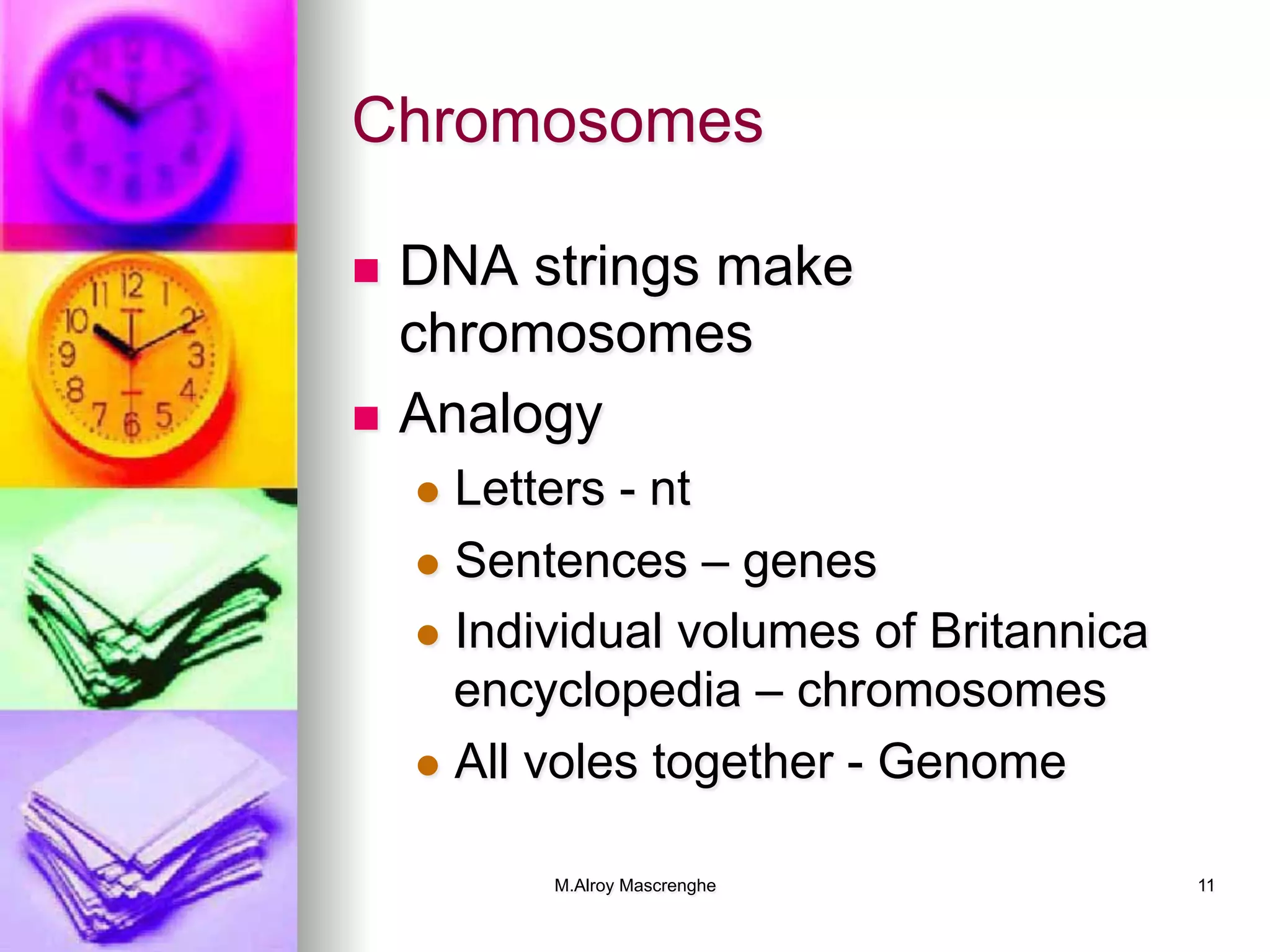 M.Alroy Mascrenghe 11
Chromosomes
n  DNA strings make
chromosomes
n  Analogy
l  Letters - nt
l  Sentences – genes
l  Individual volumes of Britannica
encyclopedia – chromosomes
l  All voles together - Genome
 