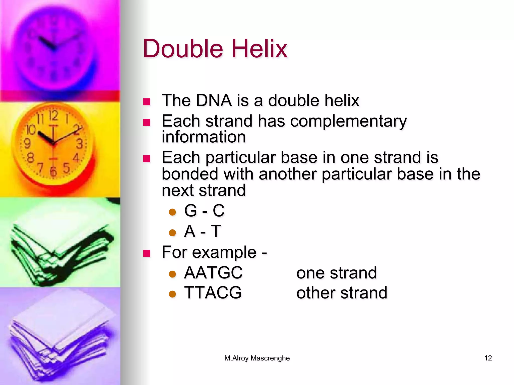 M.Alroy Mascrenghe 12
Double Helix
n  The DNA is a double helix
n  Each strand has complementary
information
n  Each particular base in one strand is
bonded with another particular base in the
next strand
l  G - C
l  A - T
n  For example -
l  AATGC one strand
l  TTACG other strand
 