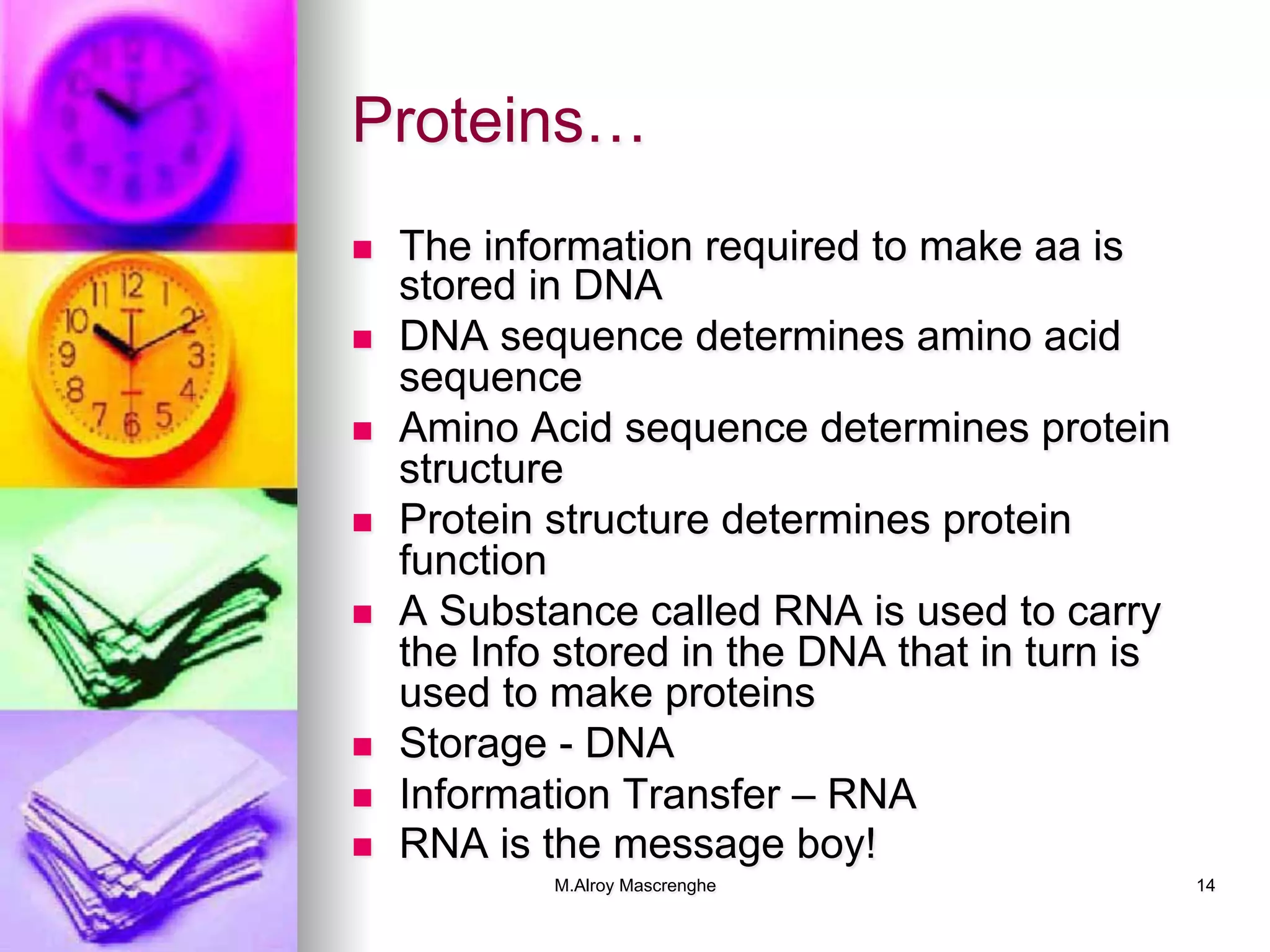 M.Alroy Mascrenghe 14
Proteins…
n  The information required to make aa is
stored in DNA
n  DNA sequence determines amino acid
sequence
n  Amino Acid sequence determines protein
structure
n  Protein structure determines protein
function
n  A Substance called RNA is used to carry
the Info stored in the DNA that in turn is
used to make proteins
n  Storage - DNA
n  Information Transfer – RNA
n  RNA is the message boy!
 