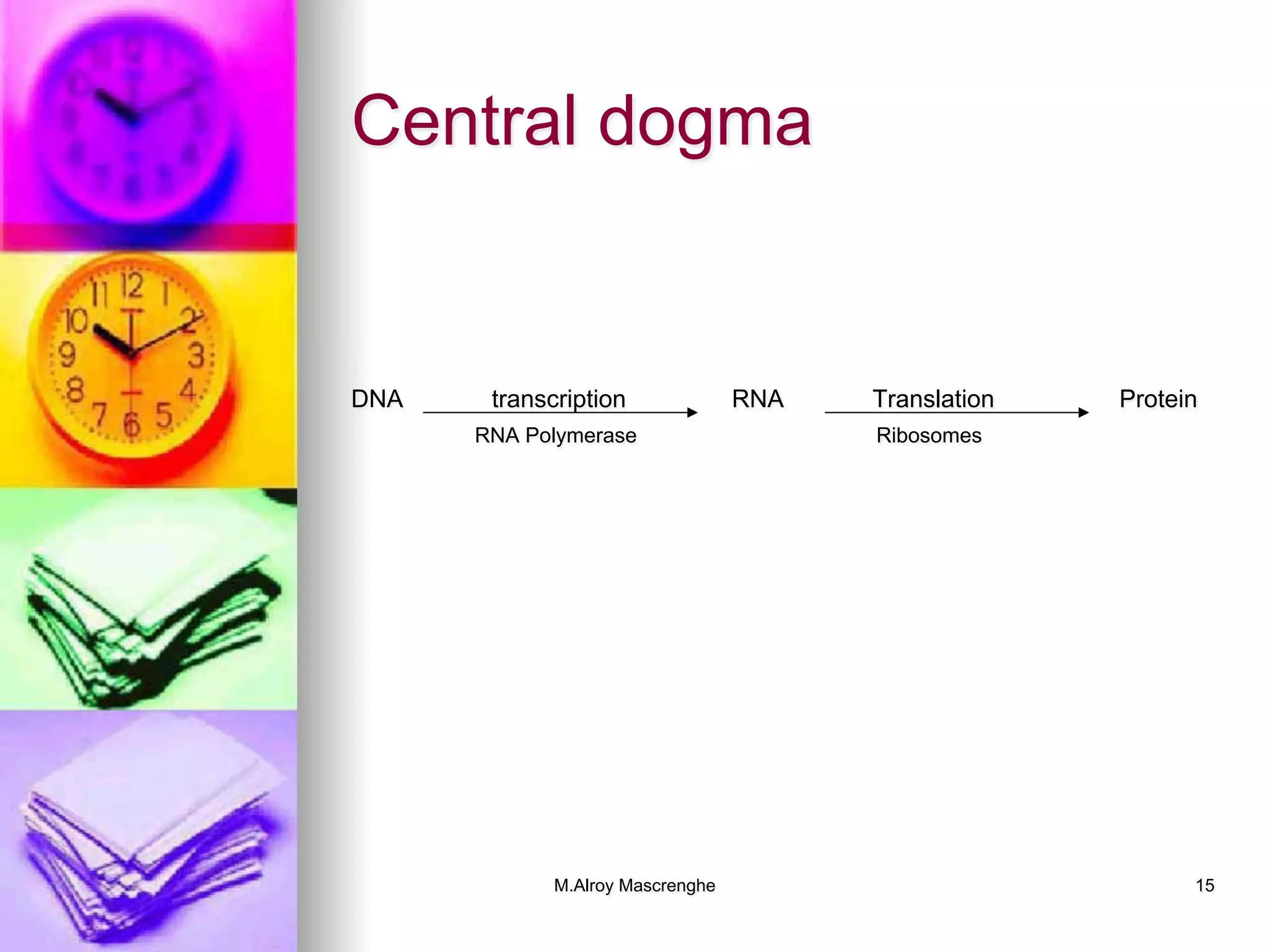 M.Alroy Mascrenghe 15
Central dogma
DNA transcription RNA Translation Protein
RNA Polymerase Ribosomes
 