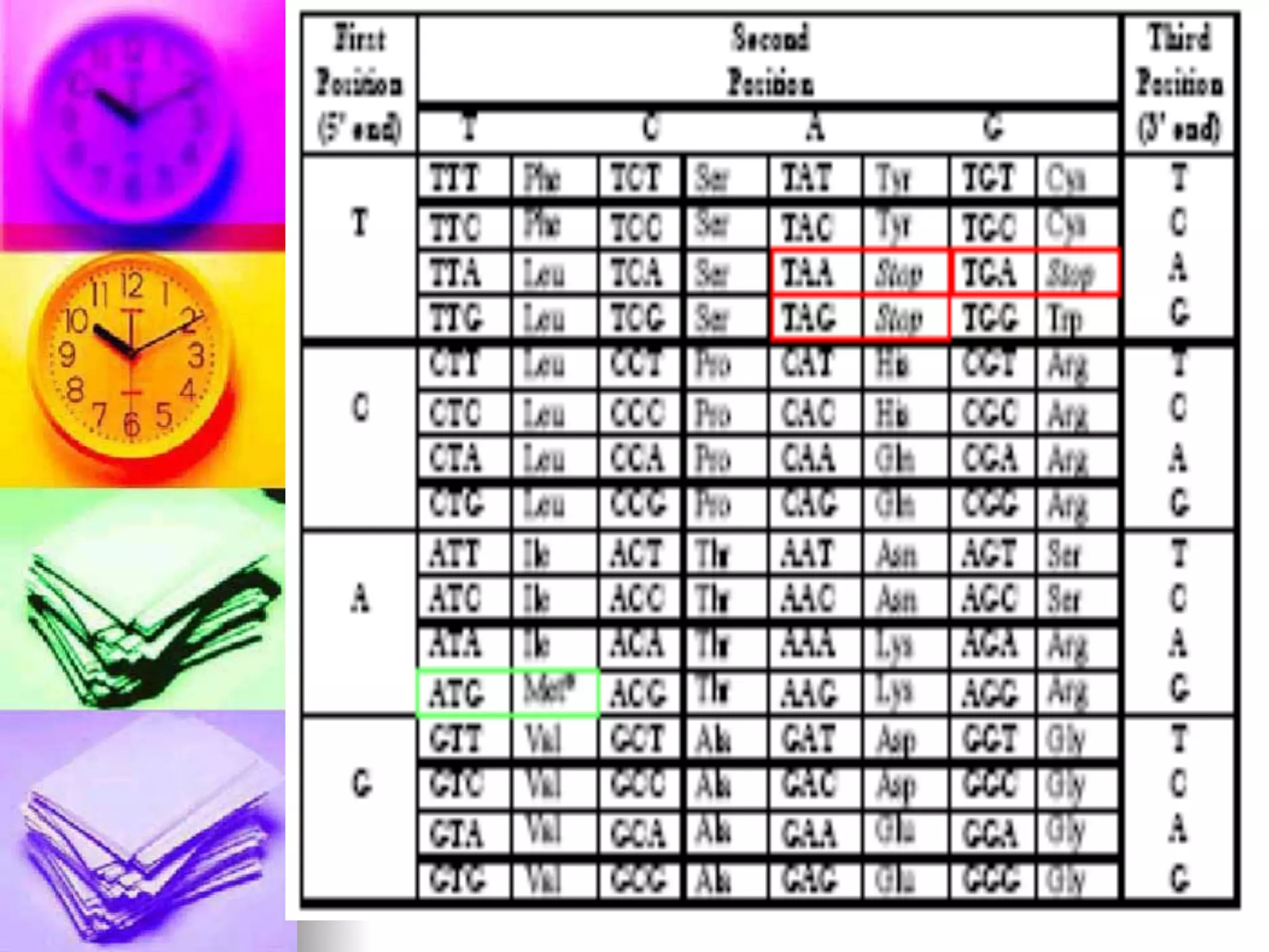 M.Alroy Mascrenghe 16
 