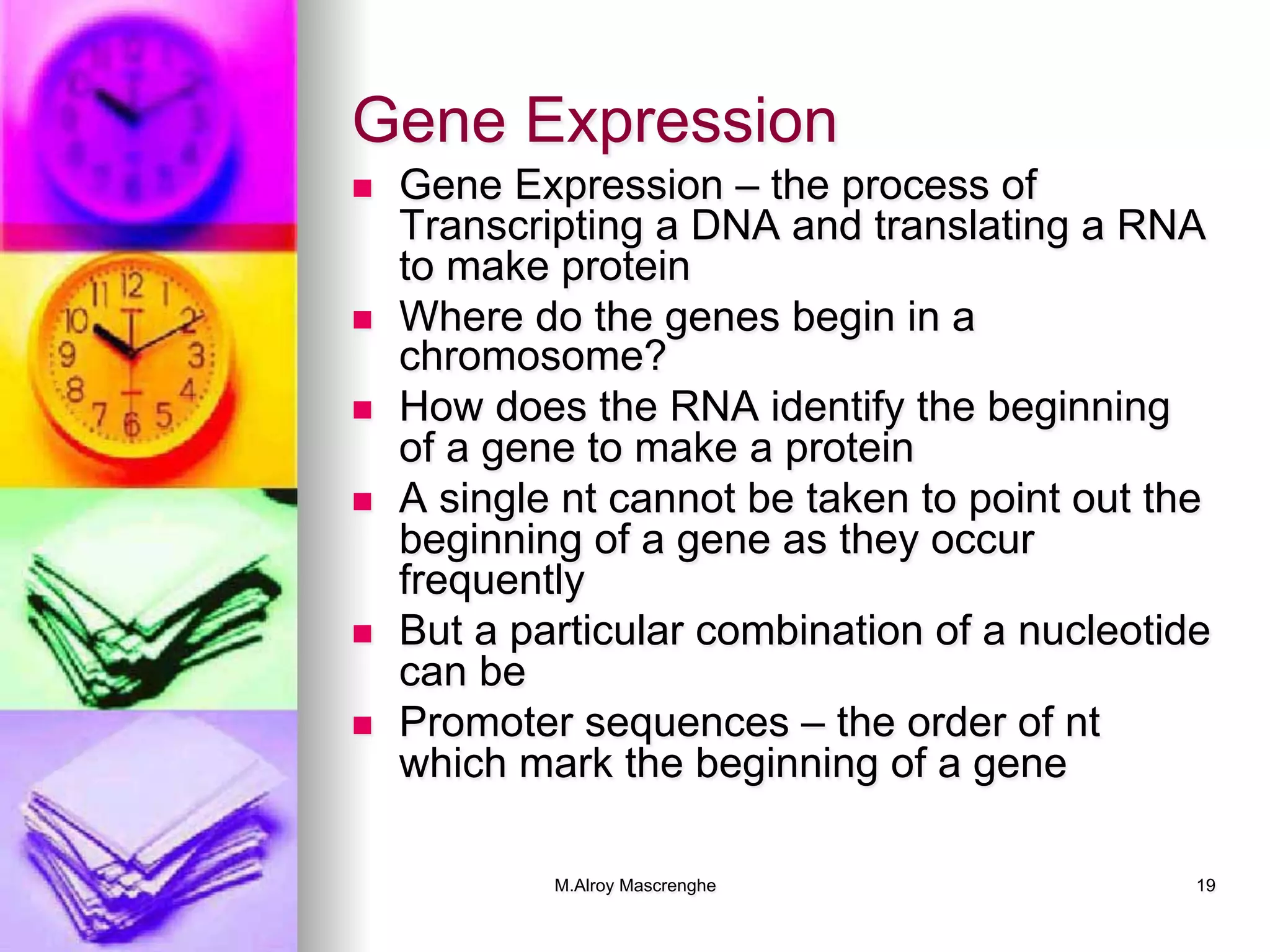 M.Alroy Mascrenghe 19
Gene Expression
n  Gene Expression – the process of
Transcripting a DNA and translating a RNA
to make protein
n  Where do the genes begin in a
chromosome?
n  How does the RNA identify the beginning
of a gene to make a protein
n  A single nt cannot be taken to point out the
beginning of a gene as they occur
frequently
n  But a particular combination of a nucleotide
can be
n  Promoter sequences – the order of nt
which mark the beginning of a gene
 