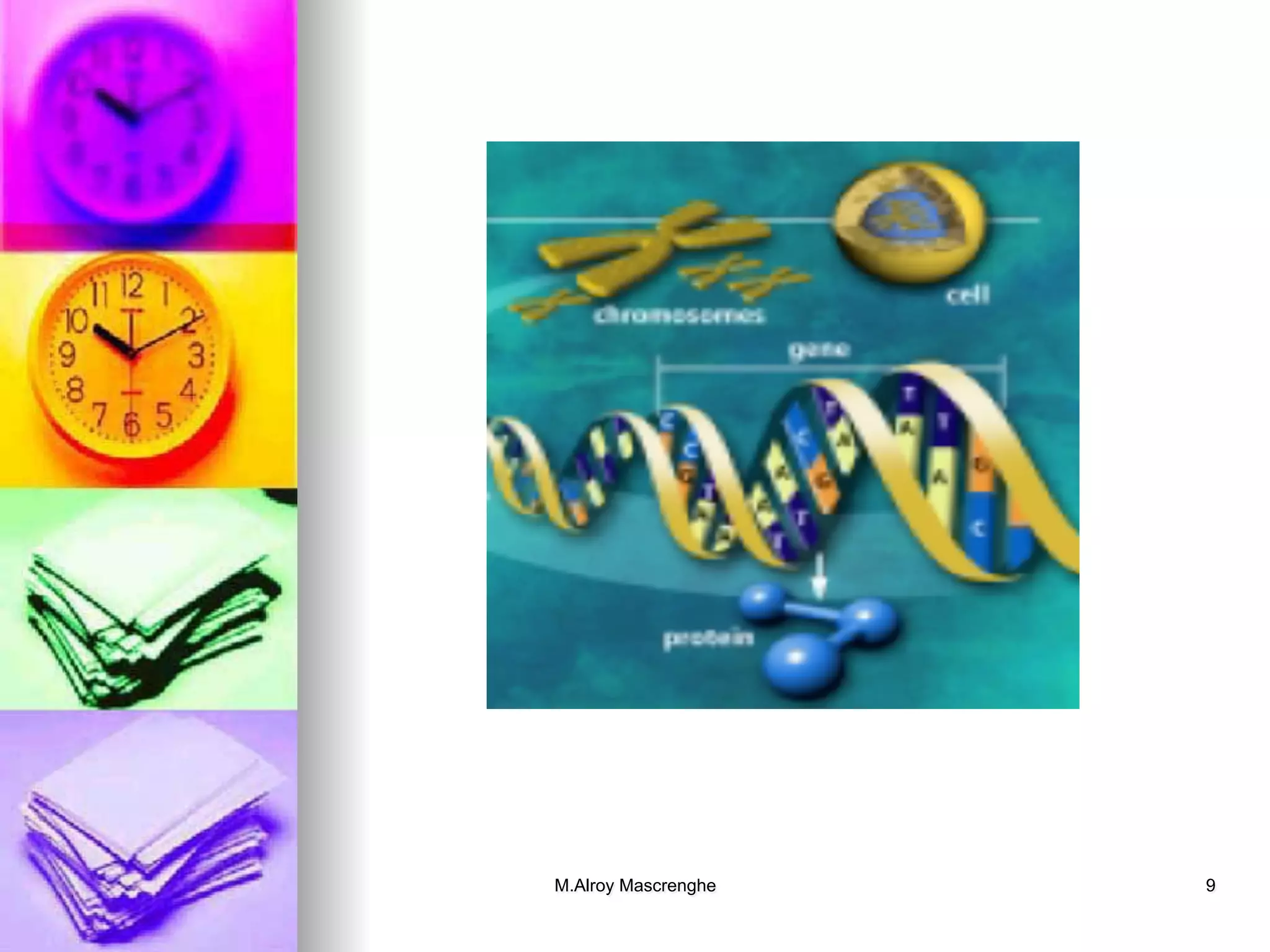 M.Alroy Mascrenghe 9
 