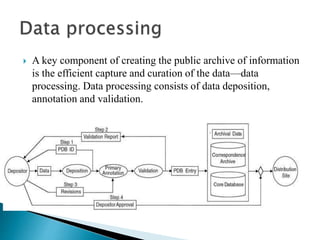  A key component of creating the public archive of information
is the efficient capture and curation of the data—data
processing. Data processing consists of data deposition,
annotation and validation.
 