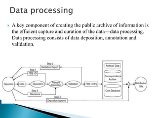  A key component of creating the public archive of information is
the efficient capture and curation of the data—data processing.
Data processing consists of data deposition, annotation and
validation.
 