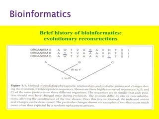 Bioinformatics | PPT
