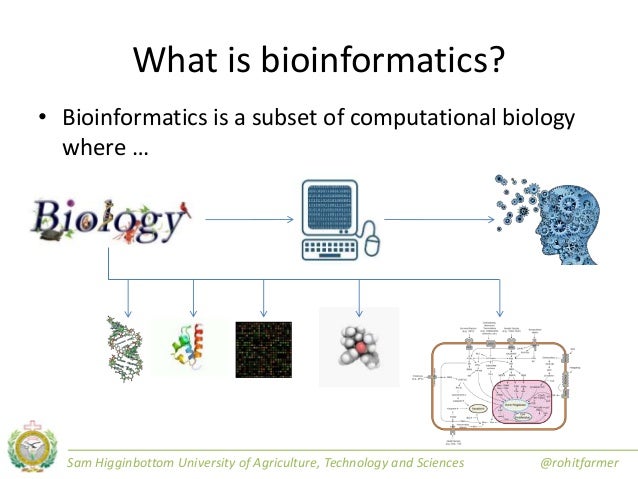 Bioinformatics
