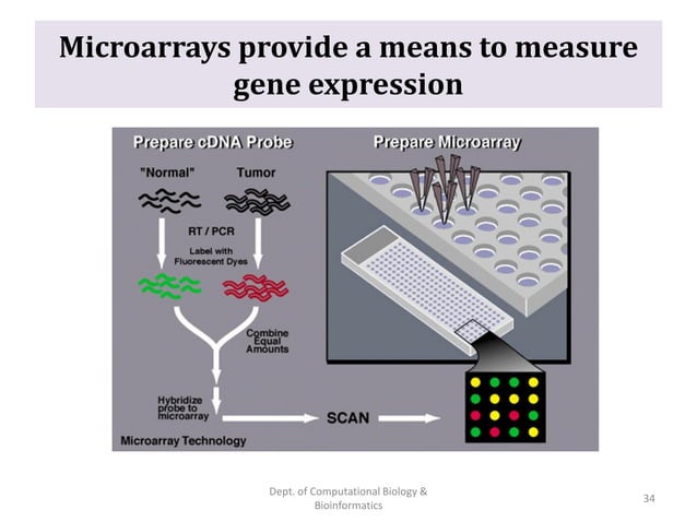 Bioinformatics (Exam point of view) | PPT