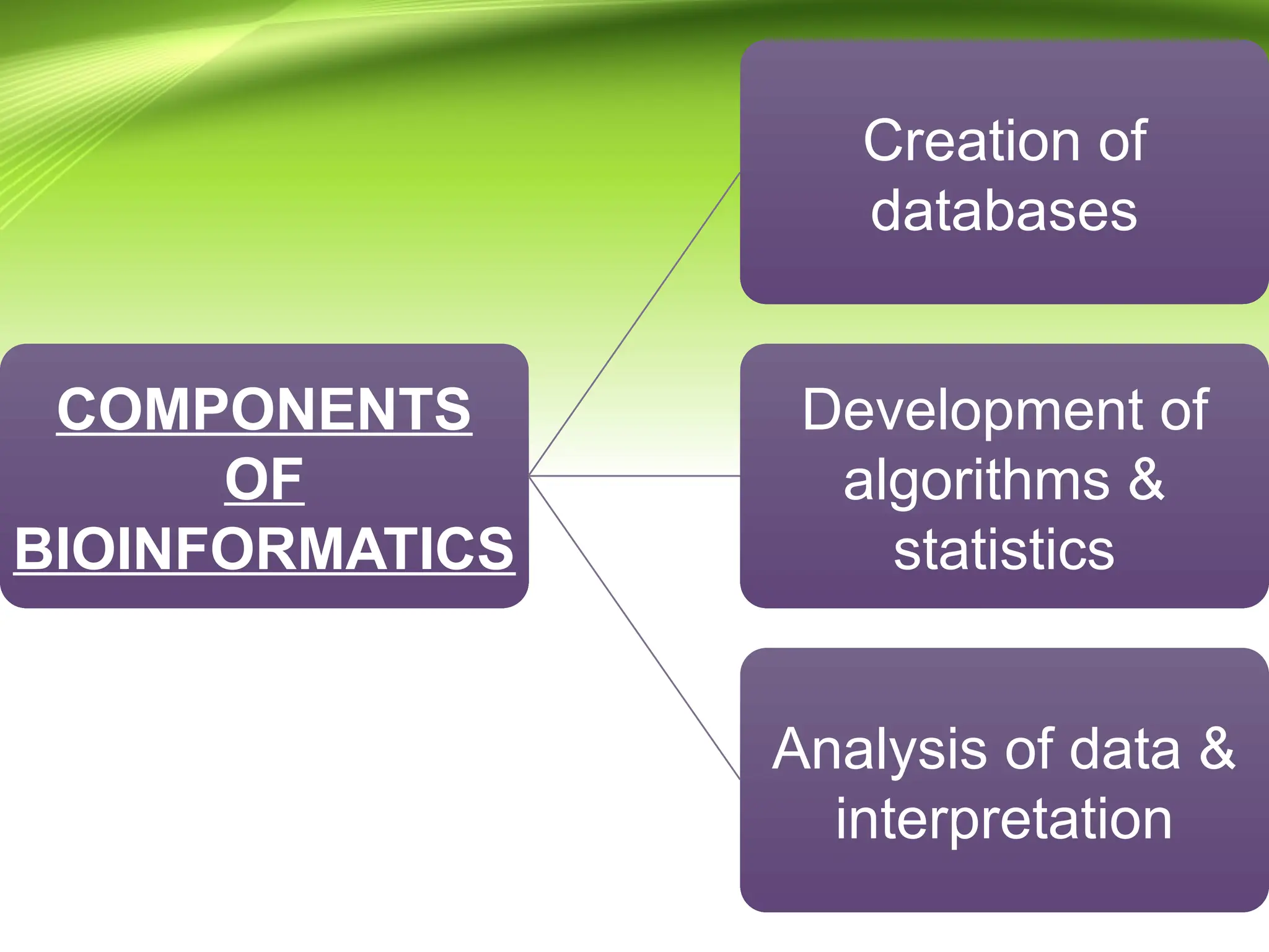 COMPONENTS
OF
BIOINFORMATICS
Creation of
databases
Development of
algorithms &
statistics
Analysis of data &
interpretation
 