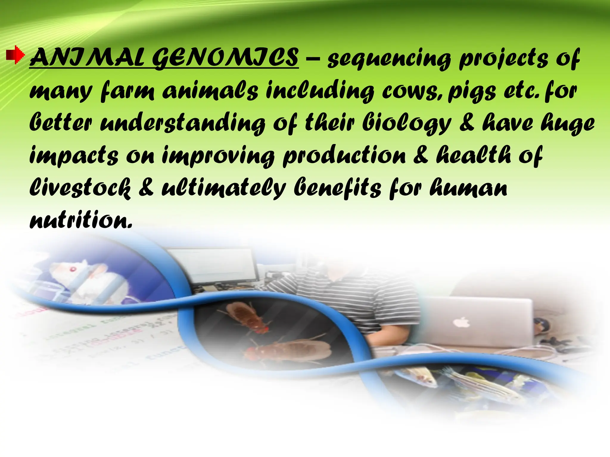 ANIMAL GENOMICS – sequencing projects of
many farm animals including cows, pigs etc. for
better understanding of their biology & have huge
impacts on improving production & health of
livestock & ultimately benefits for human
nutrition.
 