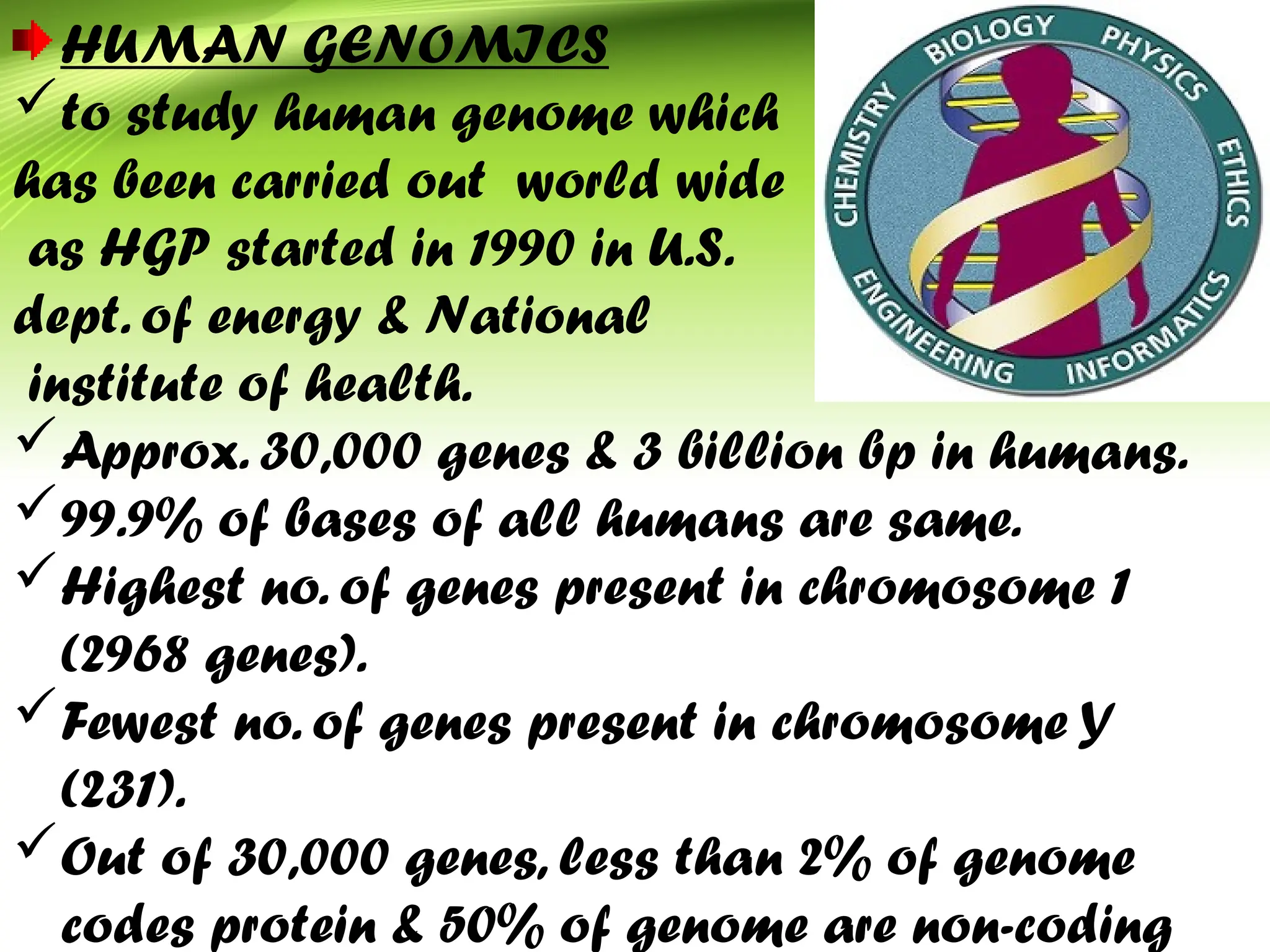 HUMAN GENOMICS
to study human genome which
has been carried out world wide
as HGP started in 1990 in U.S.
dept. of energy & National
institute of health.
Approx. 30,000 genes & 3 billion bp in humans.
99.9% of bases of all humans are same.
Highest no. of genes present in chromosome 1
(2968 genes).
Fewest no. of genes present in chromosome Y
(231).
Out of 30,000 genes, less than 2% of genome
codes protein & 50% of genome are non-coding
 