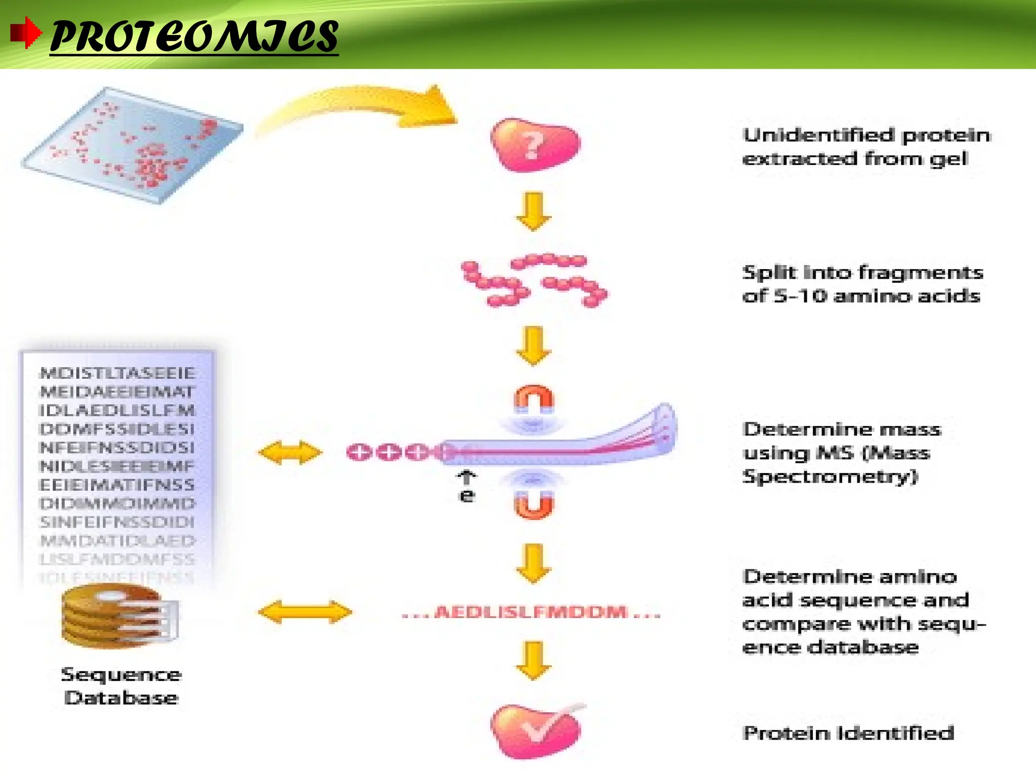 PROTEOMICS
 
