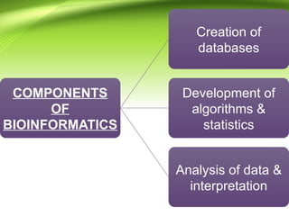 COMPONENTS
OF
BIOINFORMATICS
Creation of
databases
Development of
algorithms &
statistics
Analysis of data &
interpretation
 